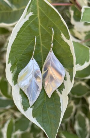 Boucles d'oreilles cornus alba en argent 925 certifié