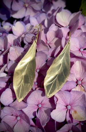 Boucles d'oreilles cornus alba